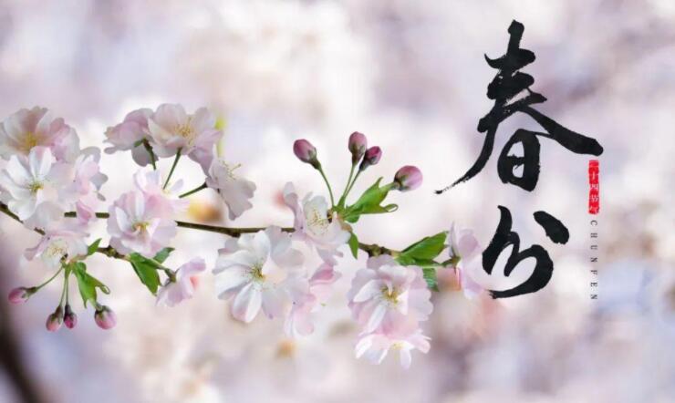 【山東桓藝數(shù)控】春分 | 生活明朗，萬(wàn)物可愛(ài)